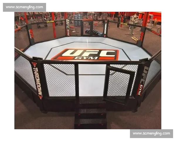 柔术传奇谢幕：克雷格胜三冠王后终别八角笼