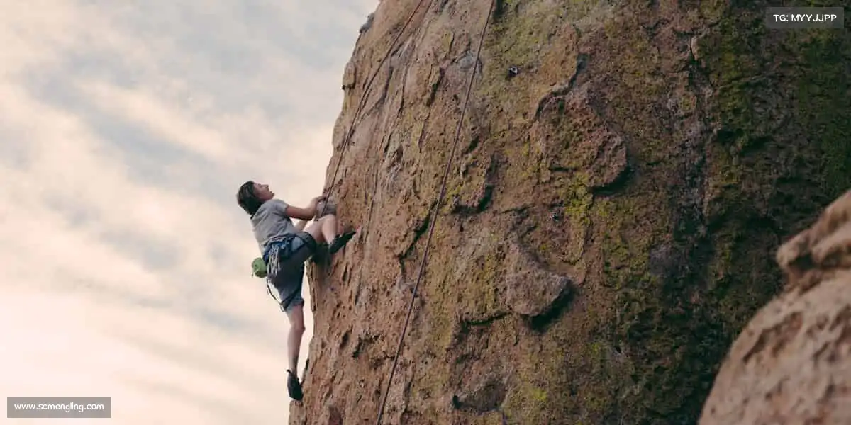 为什么选择我们